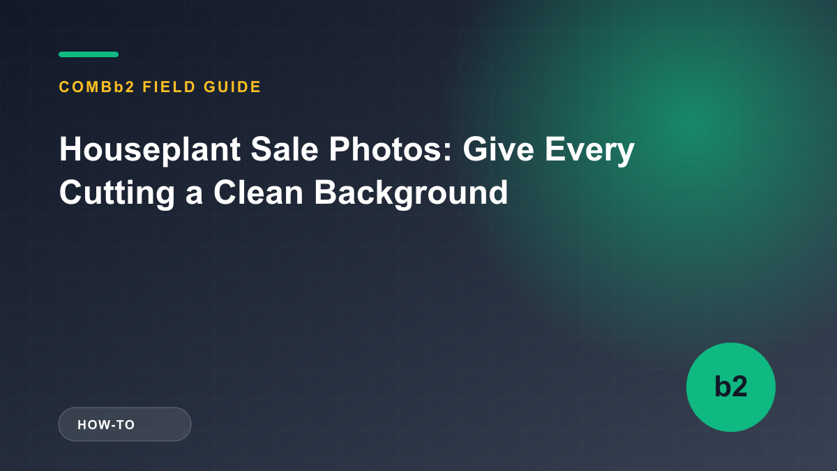 Houseplant Sale Photos: Give Every Cutting a Clean Background Houseplant Sale Photos: Give Every Cutting a Clean Background