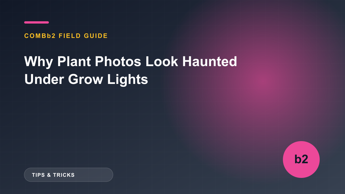 Why Plant Photos Look Haunted Under Grow Lights Why Plant Photos Look Haunted Under Grow Lights
